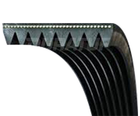 Поліклинові паси